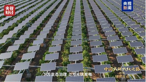 全球约25 新增绿化面积,由中国贡献