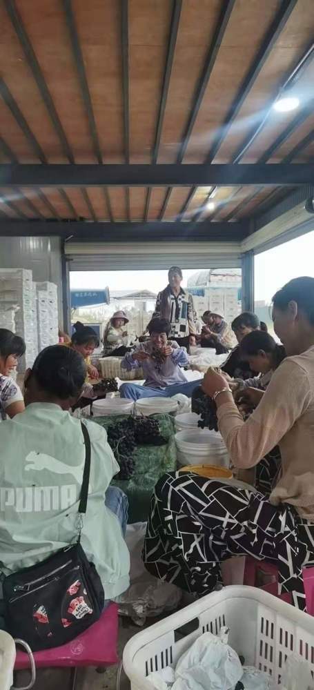 宾川兴宏达入选2021年云南省 绿色食品牌 品牌目录