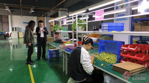 民盟云南省委与云南省公路局联合举办电子产品加工技能培训班，助力会泽同心工程集中示范活动