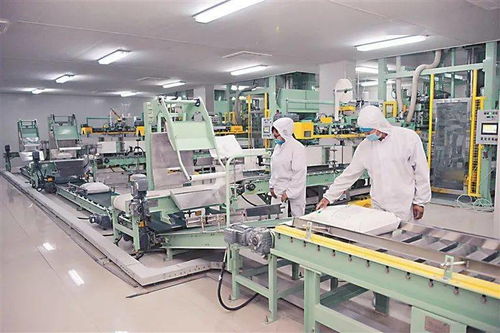 云南玉米深加工破局 从“卖原粮”到“卖产品” 折射农业转型升级新路径